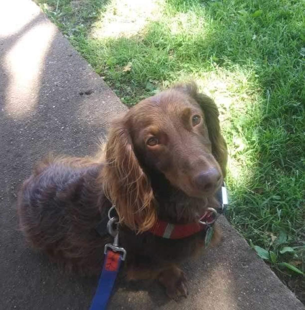 Meet your Posher, Rebecca